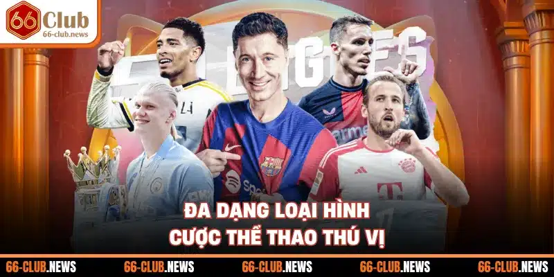 Đa dạng loại hình cược thể thao thú vị