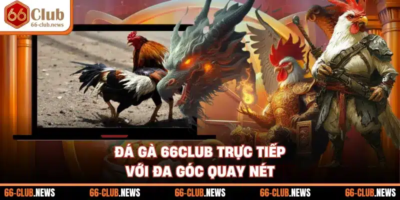 Đá gà 66Club trực tiếp với đa góc quay nét
