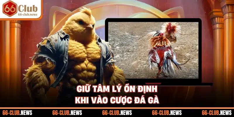 Giữ tâm lý ổn định khi vào cược đá gà