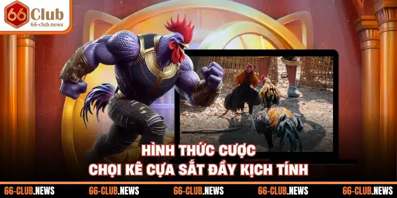 Hình thức cược chọi kê cựa sắt đầy kịch tính