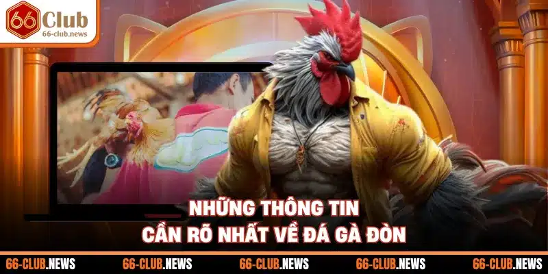 Những thông tin cần rõ nhất về đá gà đòn