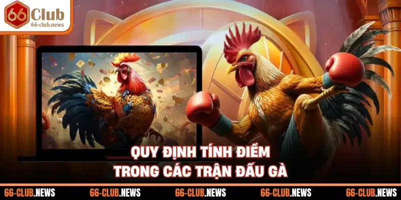 Quy định tính điểm trong các trận đấu gà