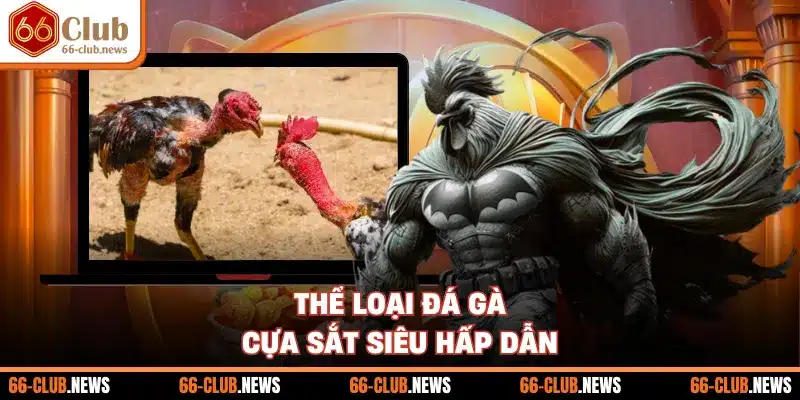 Thể loại đá gà cựa sắt siêu hấp dẫn