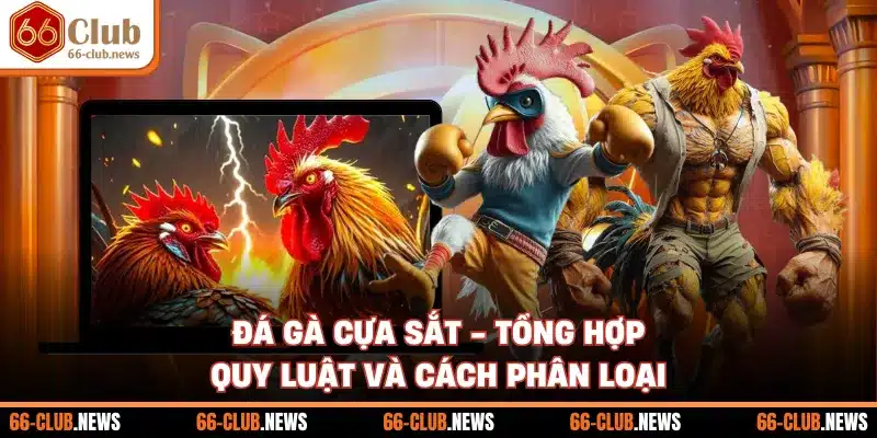 Đá Gà Cựa Sắt - Tổng Hợp Quy Luật Và Cách Phân Loại