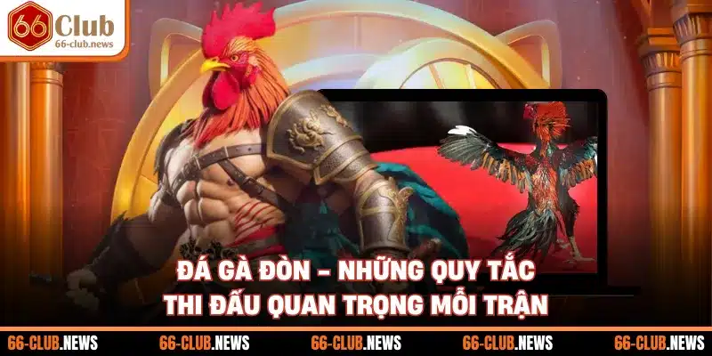 Đá Gà Đòn - Những Quy Tắc Thi Đấu Quan Trọng Mỗi Trận