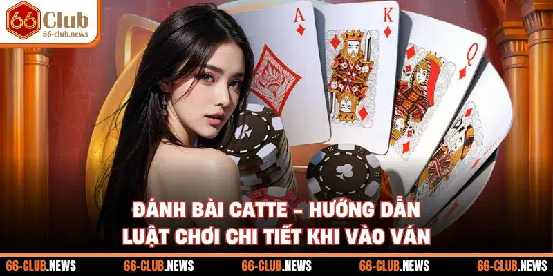 Đánh Bài Catte - Hướng Dẫn Luật Chơi Chi Tiết Khi Vào Ván