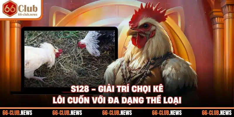 S128 - Giải Trí Chọi Kê Lôi Cuốn Với Đa Dạng Thể Loại