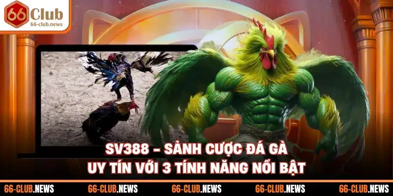 SV388 - Sảnh Cược Đá Gà Uy Tín Với 3 Tính Năng Nổi Bật